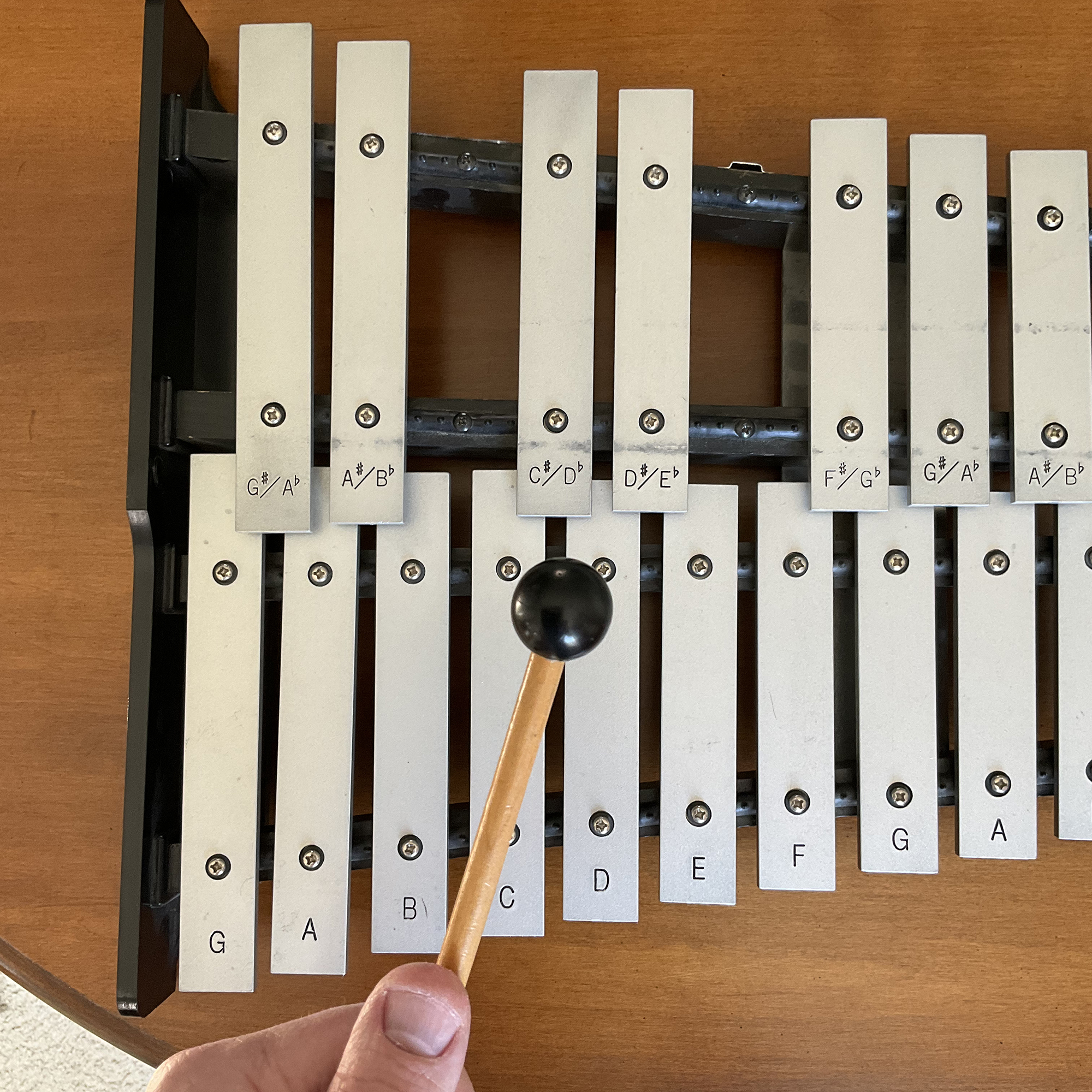 The Advanced Montessori Method