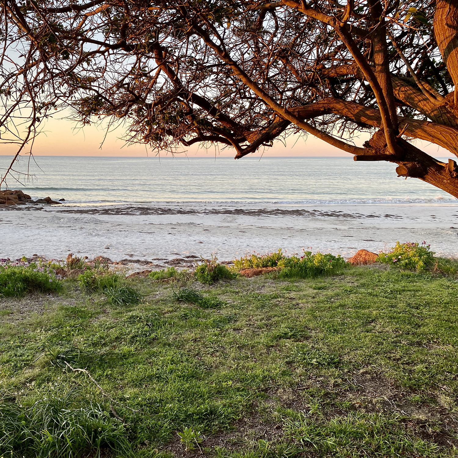 Letter From a Scientist