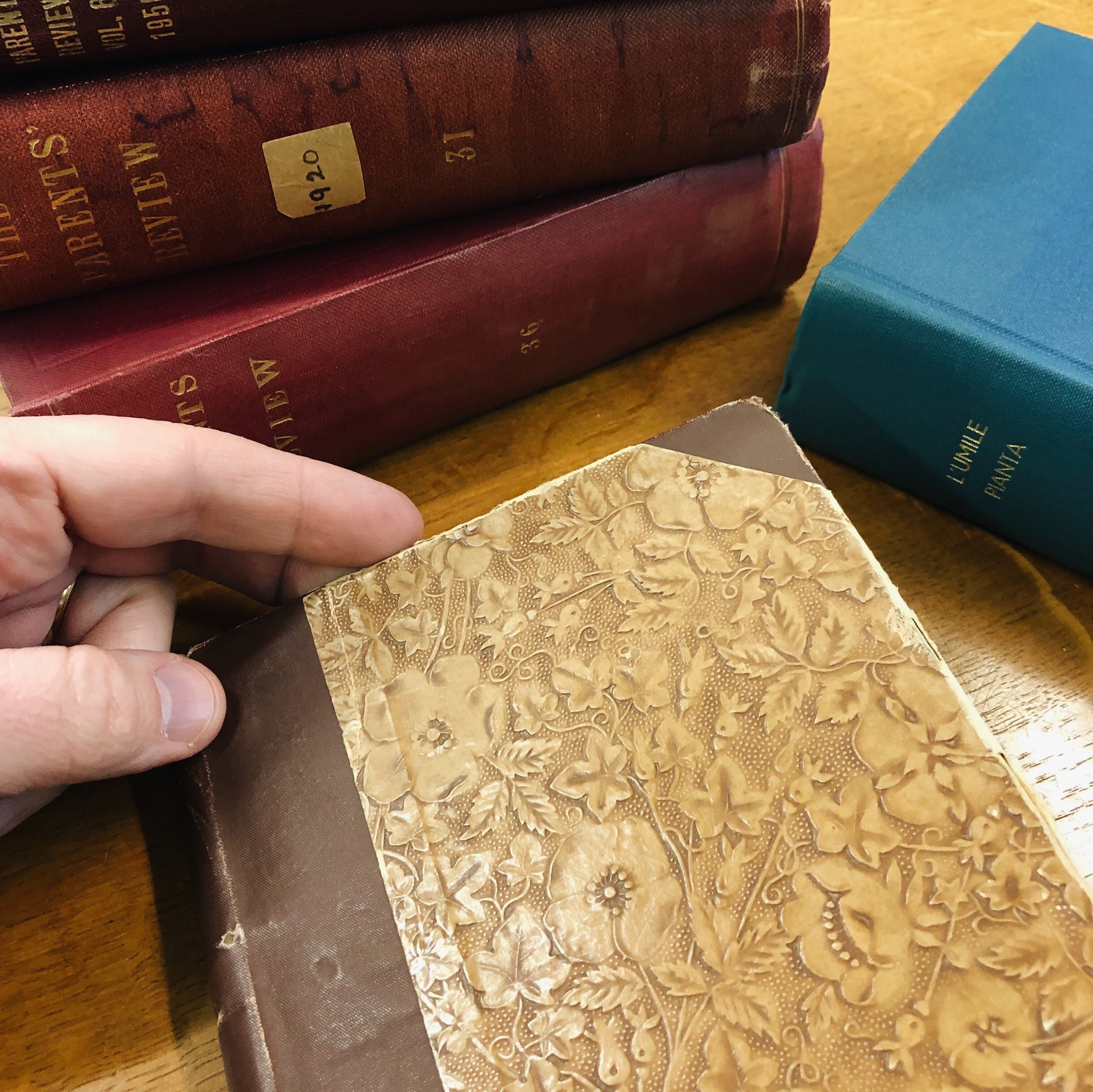 The Story of Scale How Meditations