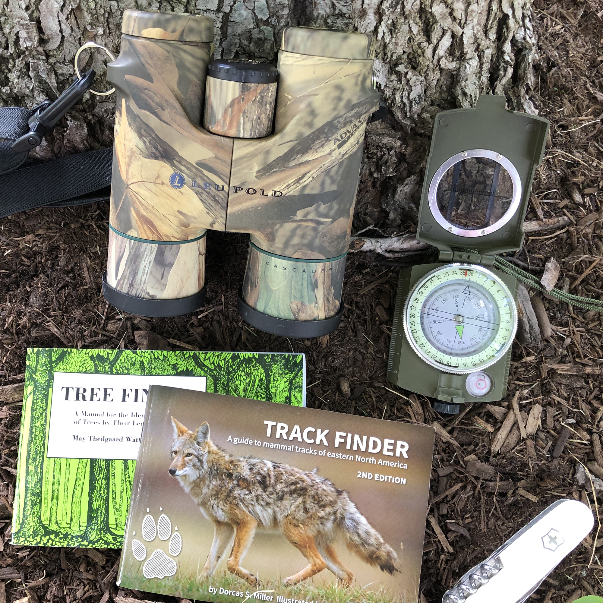 Charlotte Mason Poetry