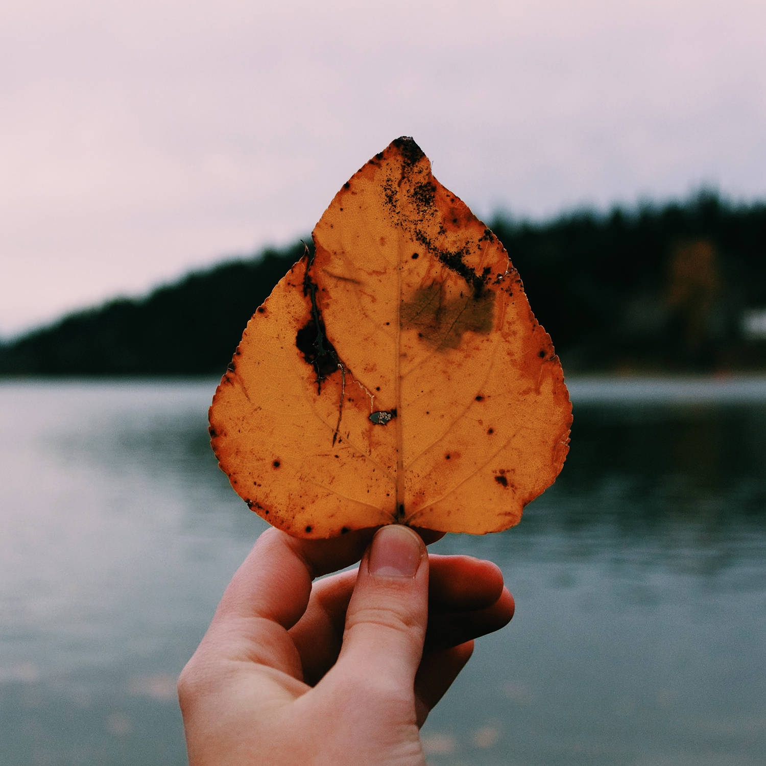 From Tired to Inspired