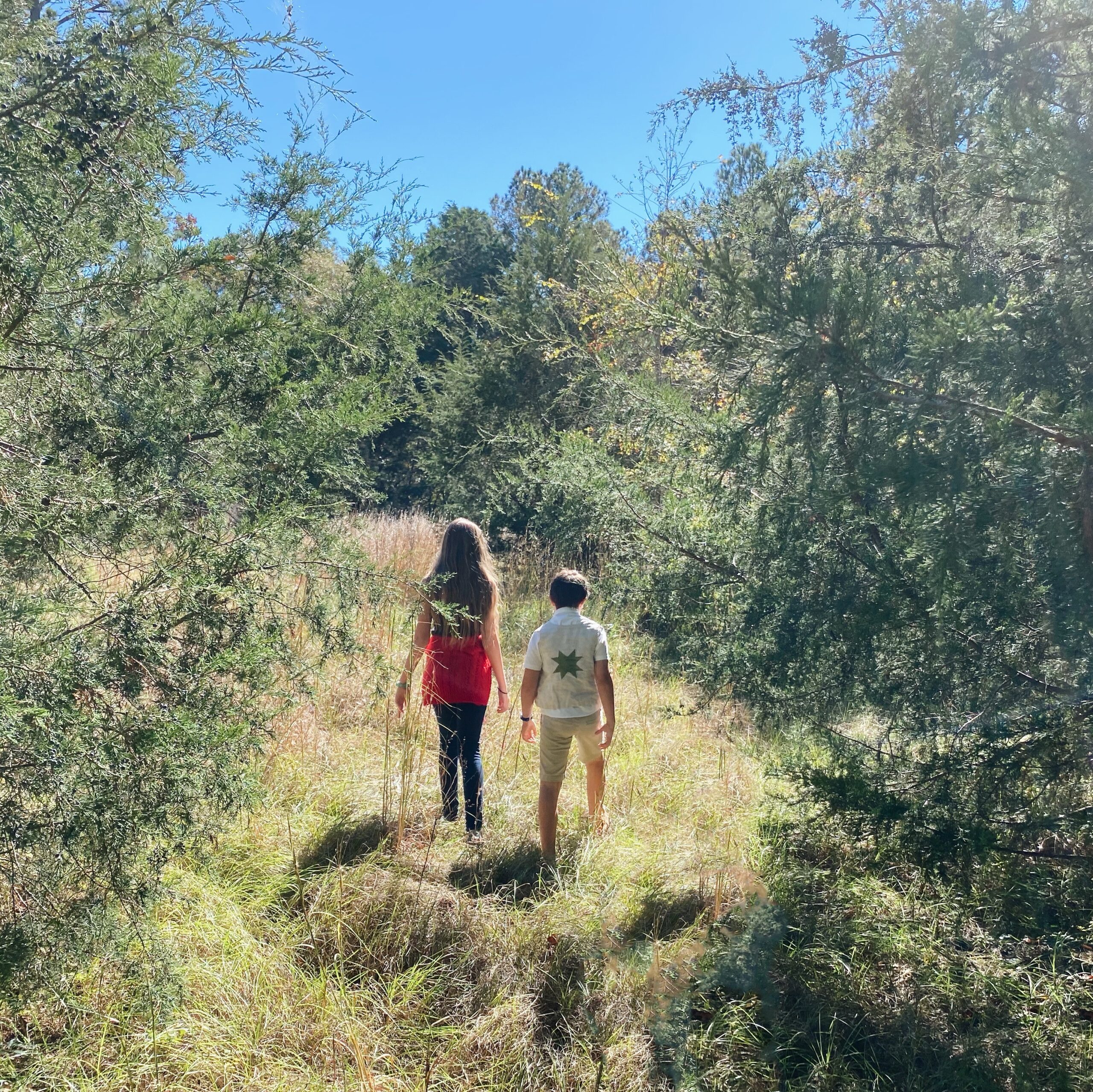 The Charm of Nature Study