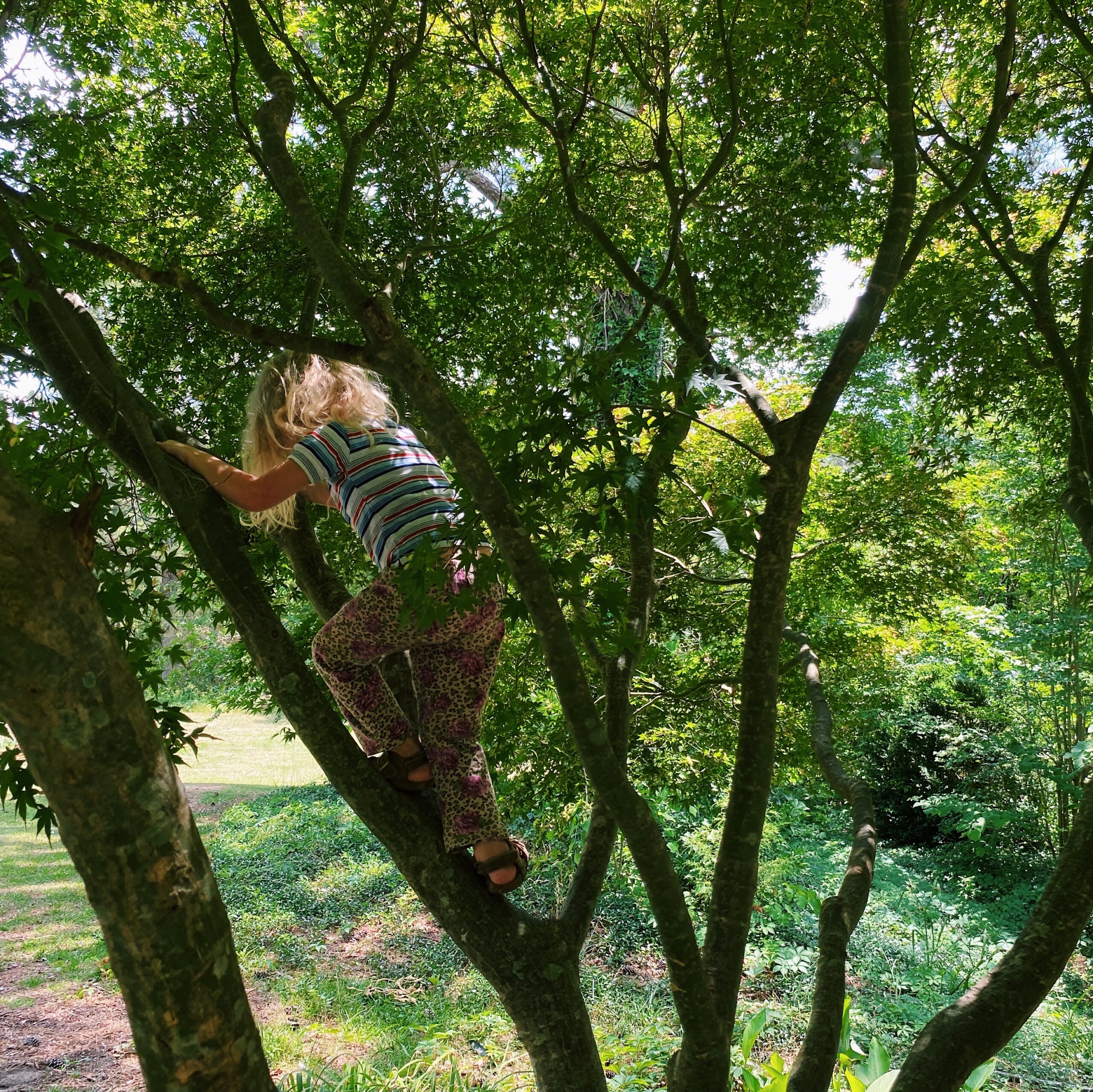 Nursery Games For Children