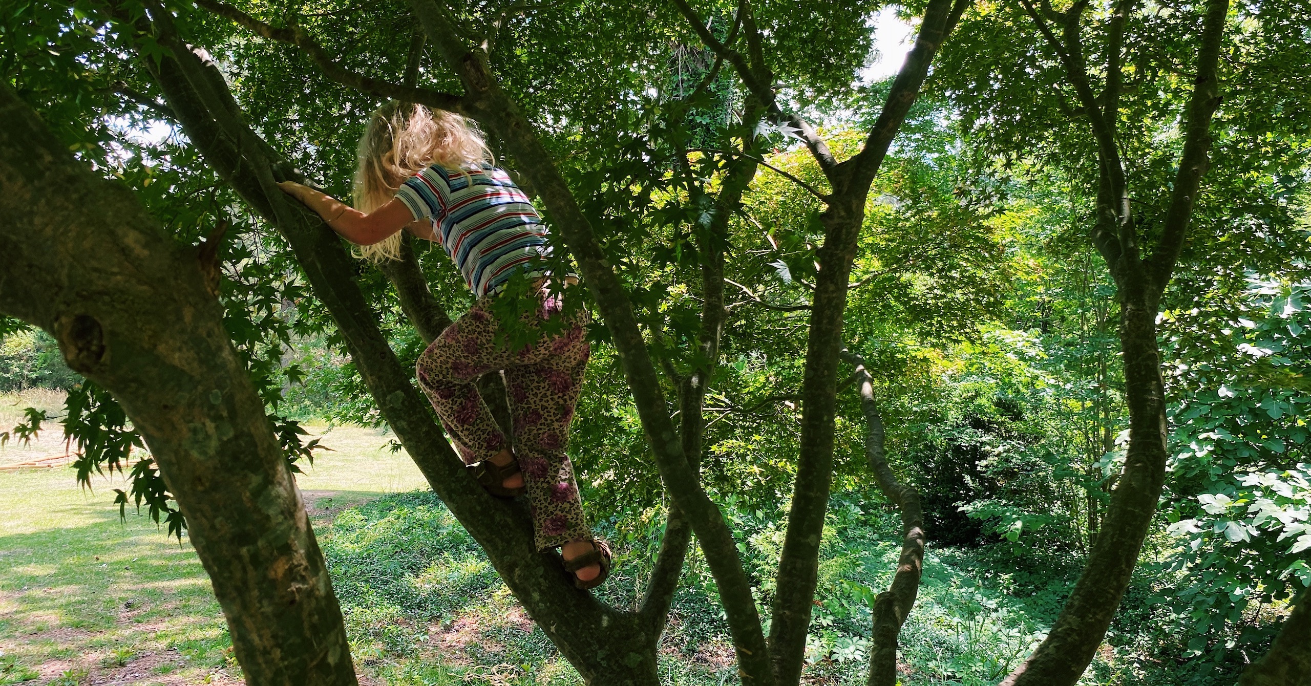 Nursery Games For Children