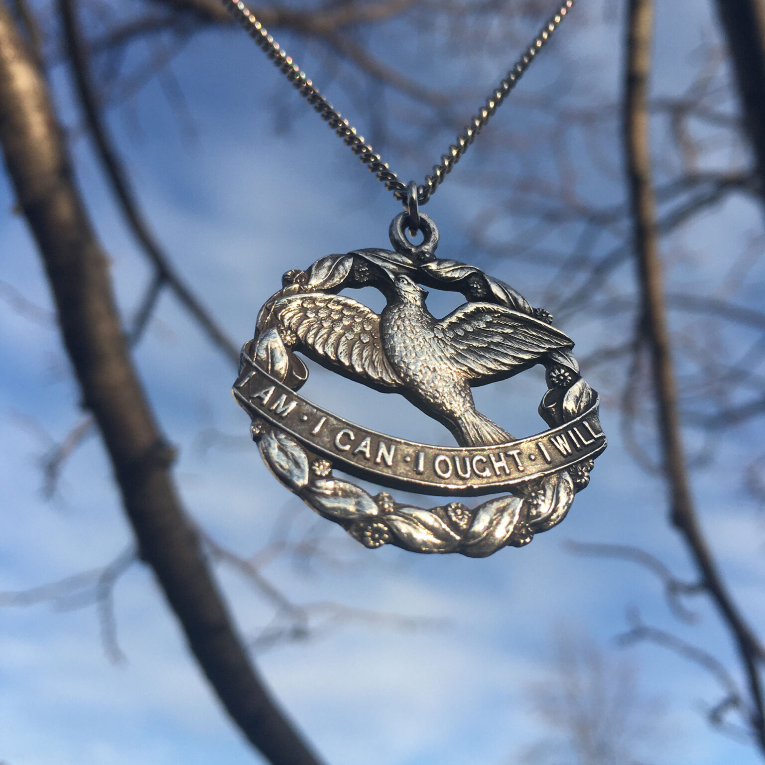 Close-up of a silver eagle pendant on a chain, hanging outdoors with a blue sky and blurred tree branches behind.