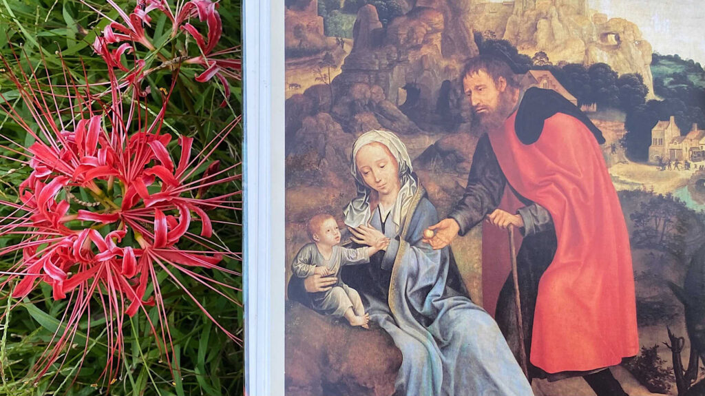 Left: vivid pink-red spider lilies with green foliage; right: religious painting of a man in a red cloak presenting a baby to a woman over a rocky landscape.