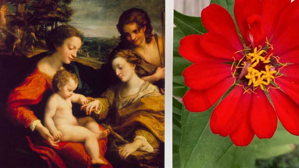 Left: Madonna with child and two women in a classical painting; right: close-up of a vivid red flower with yellow center.