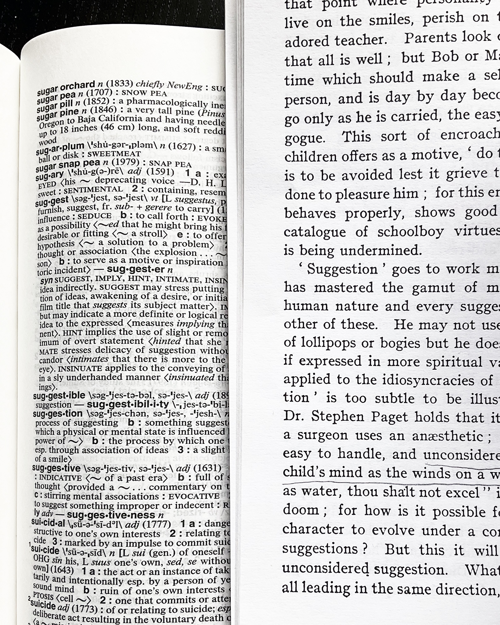Open book showing a left dictionary page with dense word entries and a right page of continuous prose text.