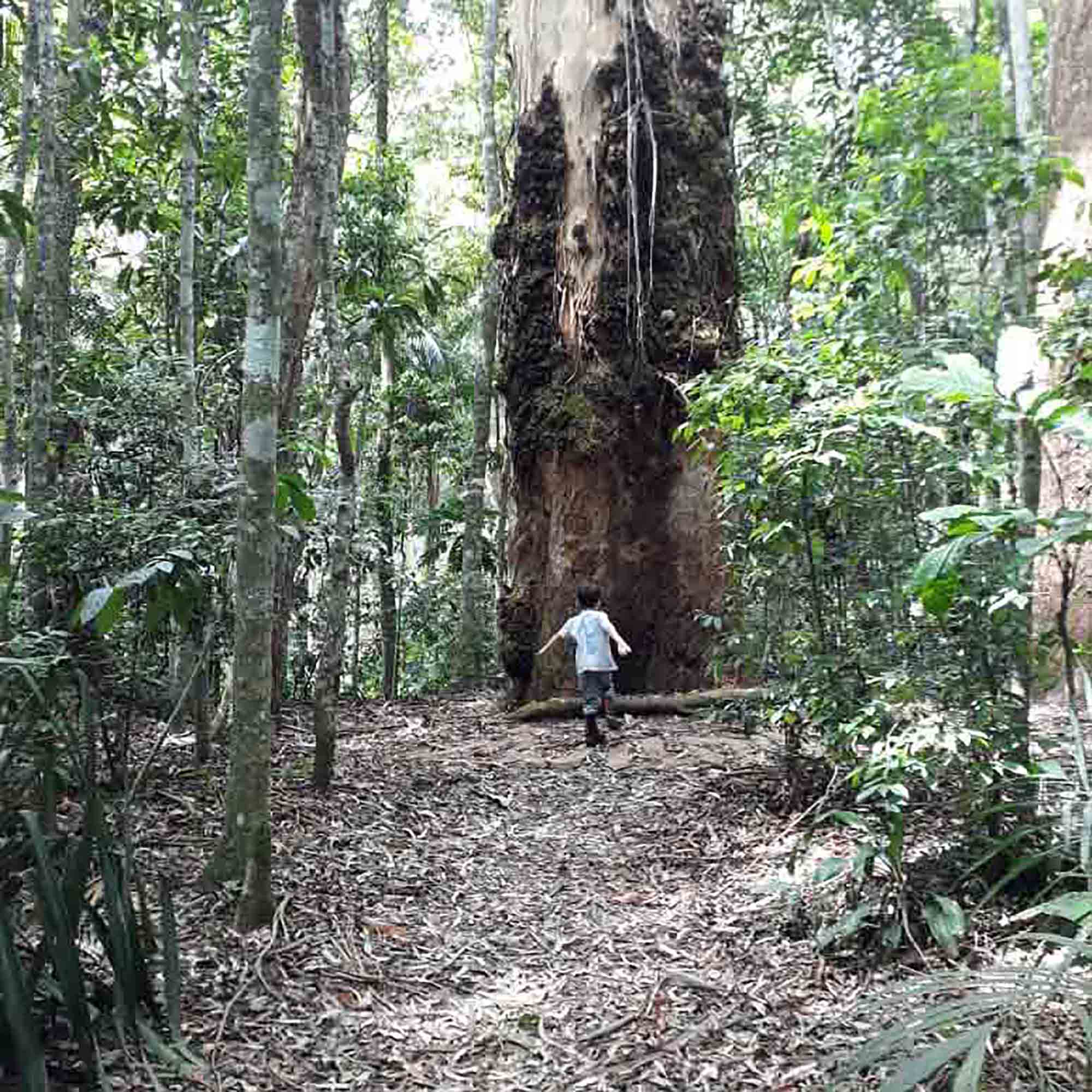 A Living Education in Brazil