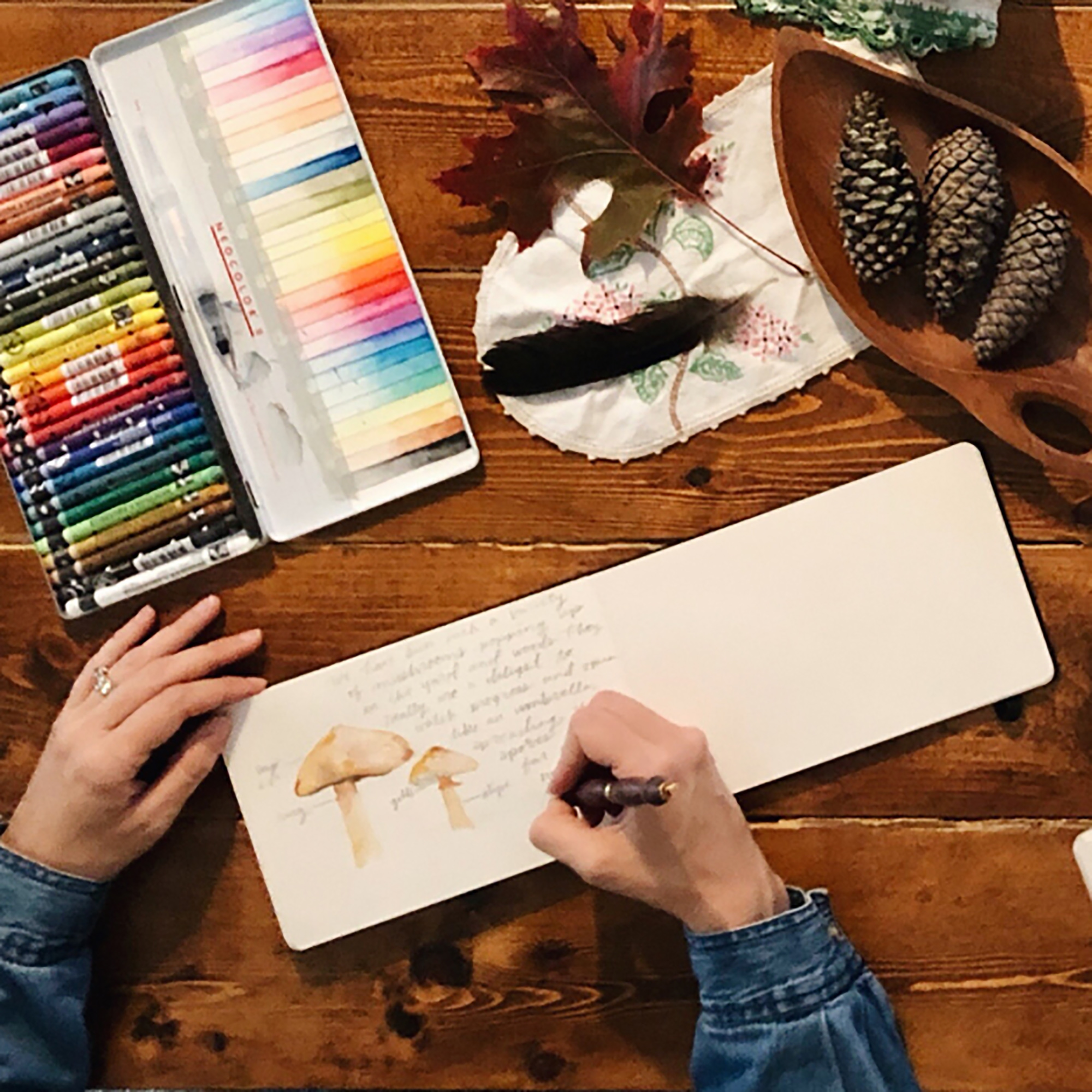 Nature Notebook Phases episode artwork