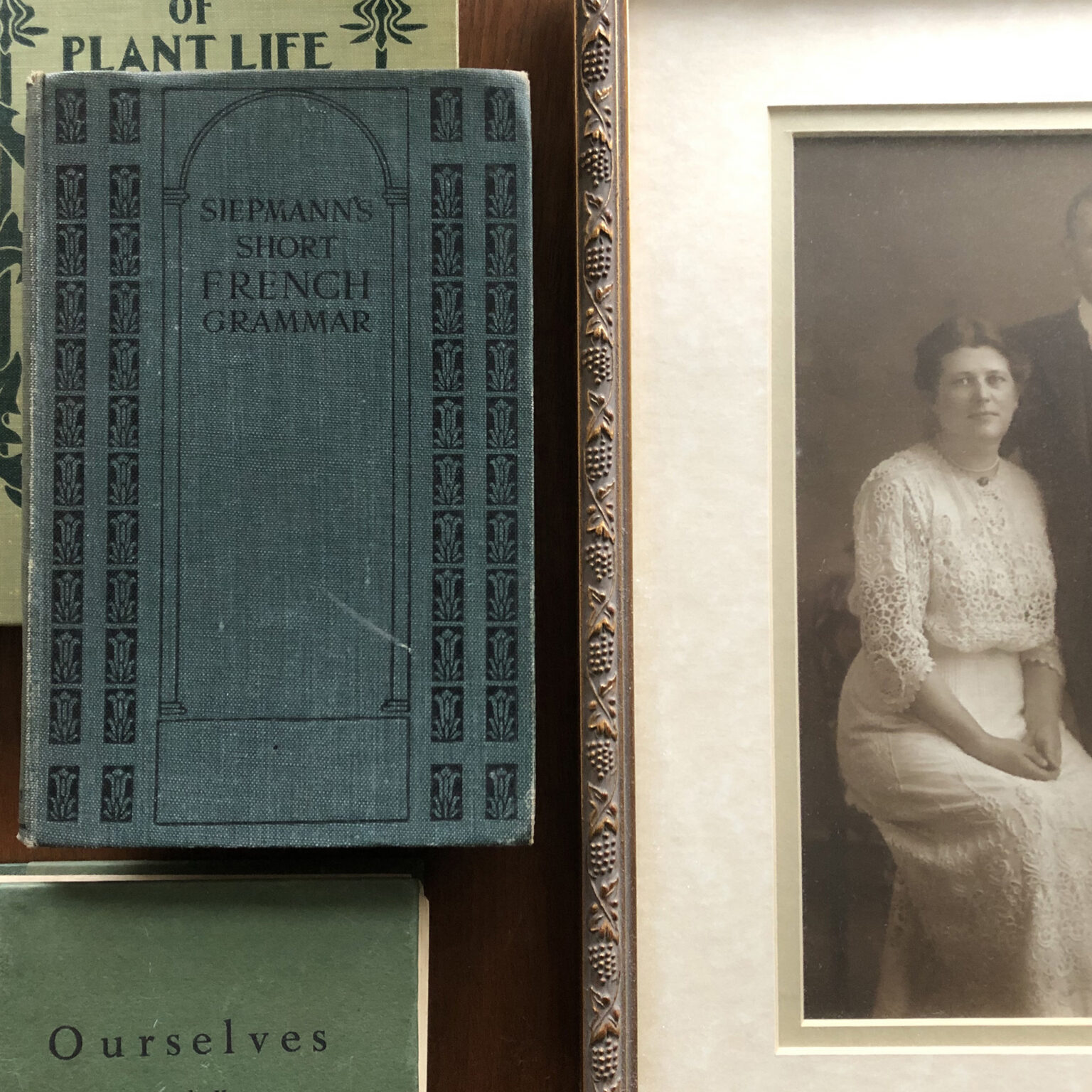 Close-up of antique books on a shelf: a blue 'French Grammar' book in front of a green plant-life book, next to a framed vintage portrait in a gilded frame.