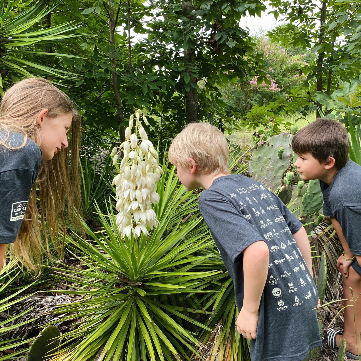 Group of kids in gray shirts gathered around a tall white yucca flower in a lush garden.