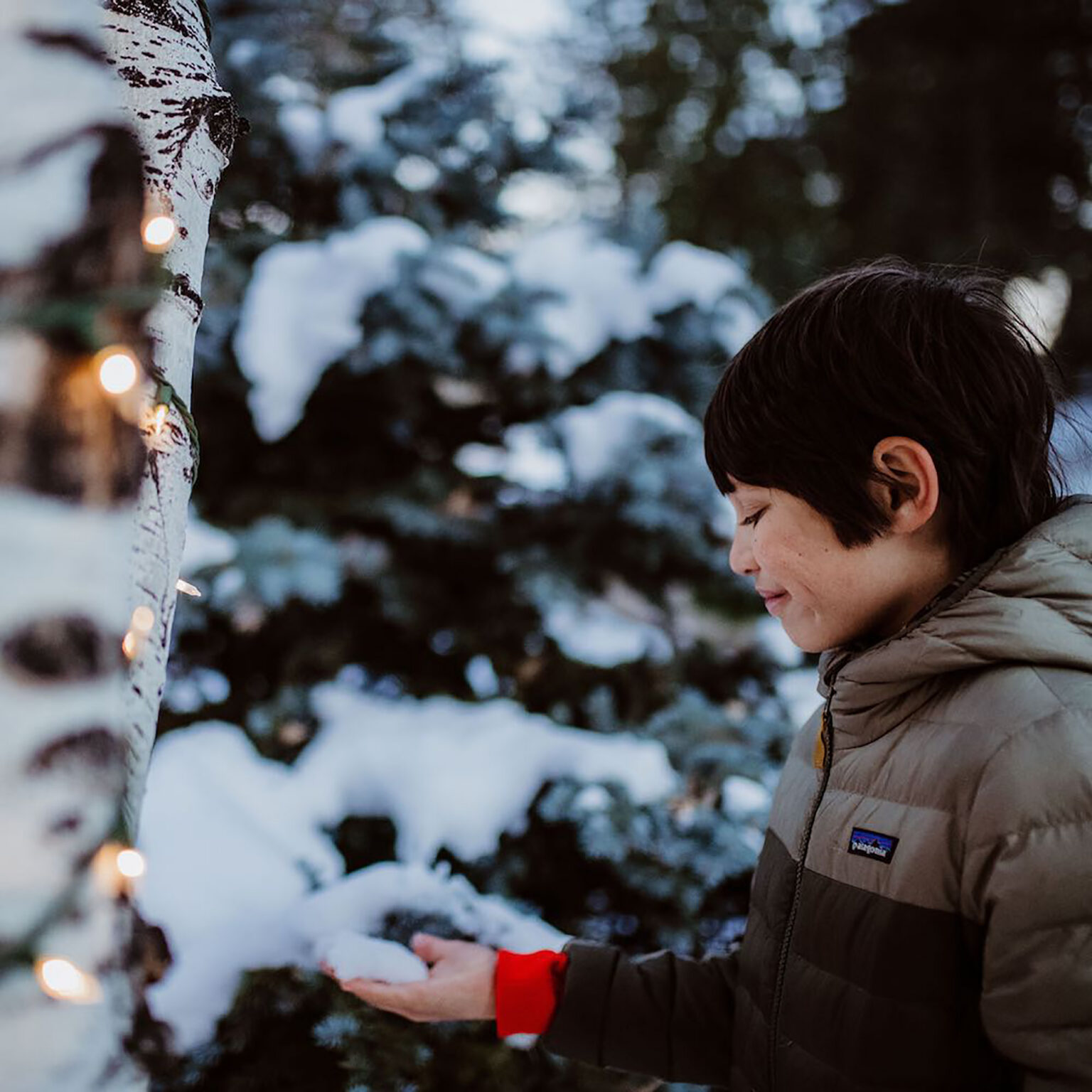 Person in a brown jacket with red cuffs holding snow beside a snow-covered birch tree with string lights in a snowy outdoor scene