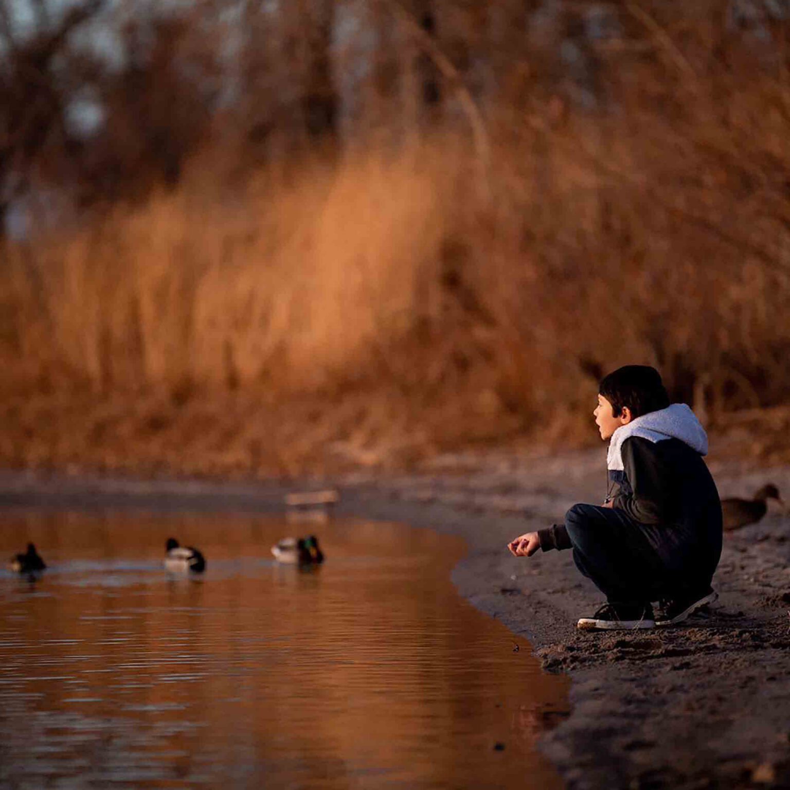 Two people crouching near a calm brown river at dusk, looking toward the water on a rocky shore.