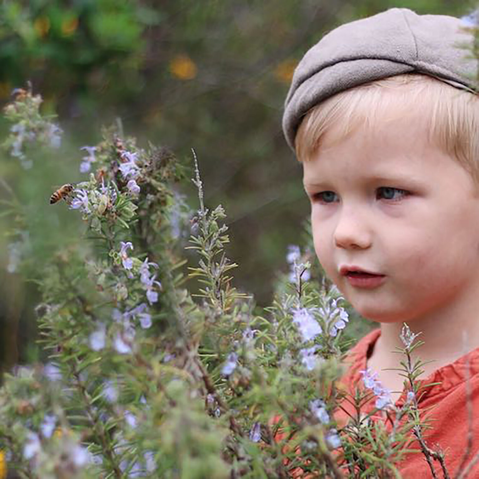Child's face partly shown among lavender flowers in a garden, with a gray hat and blue eyes seen on the right side.