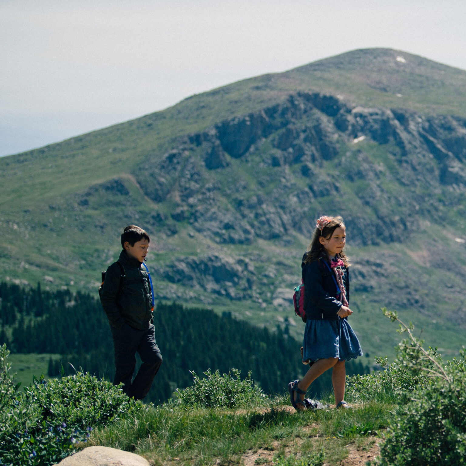 Two hikers, a man and a woman with backpacks, walk along a rocky trail in a mountain landscape with green hills and a forest below. Foreground plants and purple flowers line the path.