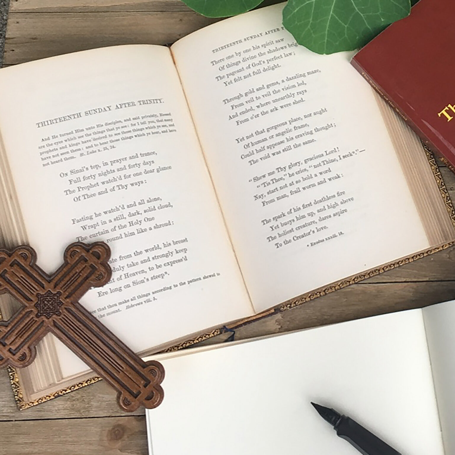 Open book with visible text on wooden table; decorative carved pieces nearby and a black pen in the corner.