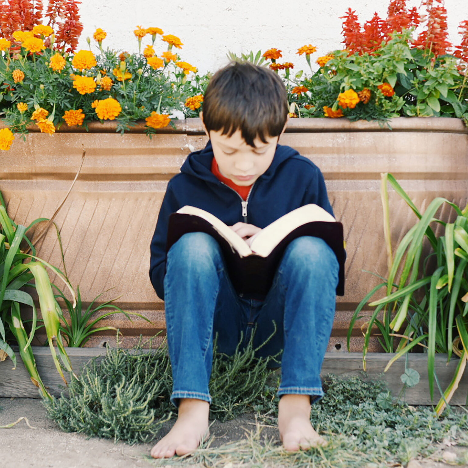 Child sitting on outdoor steps, barefoot, reading a book with orange flowers in a planter behind him.