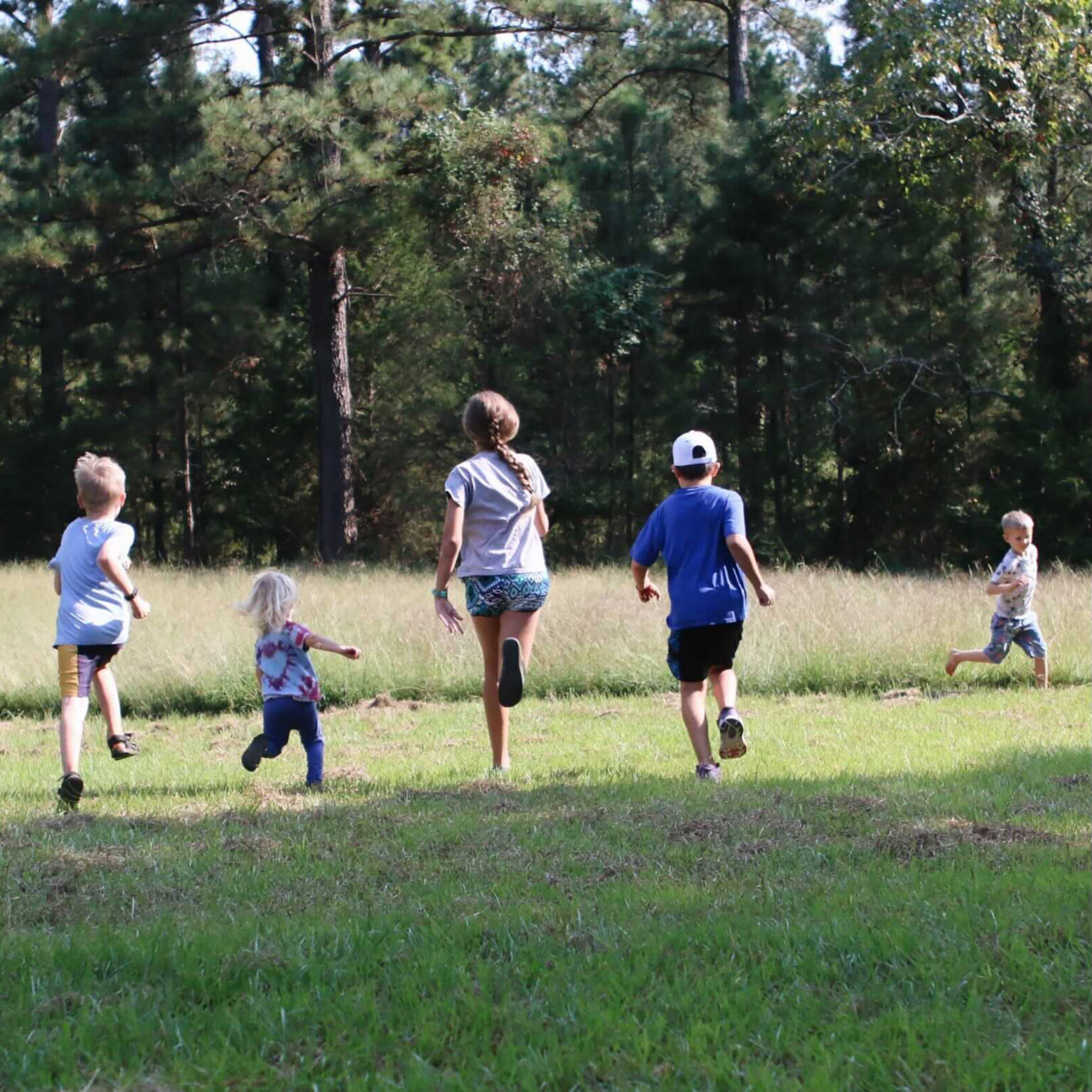Group of children and adults running across a sunlit grassy field with a dense forest in the background (back view). 4-6 people visible, braces of trees behind them.