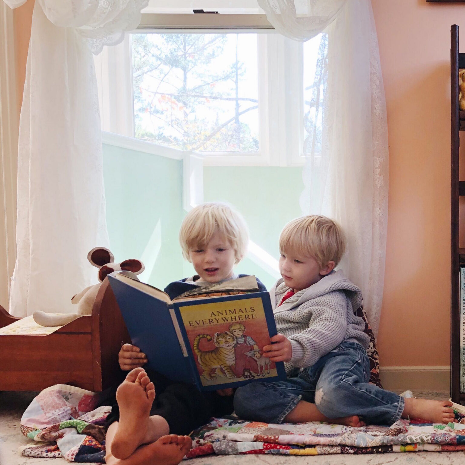 Two young children sit on a quilt reading a large book titled 'Animals Everywhere' together by a window.