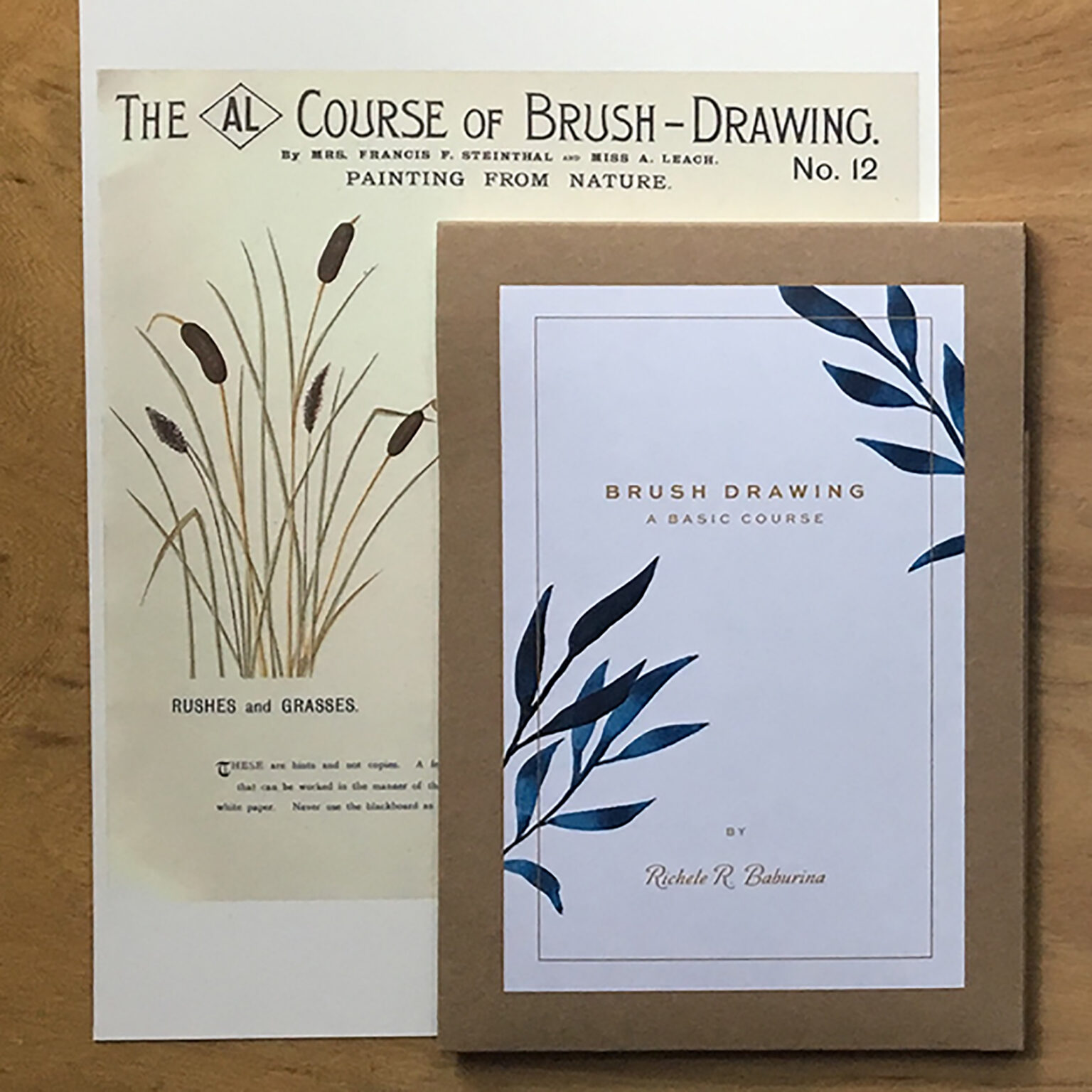 Cover of a vintage brush-drawing course book: 'The Course of Brush-Drawing No. 12' with a botanical illustration of cattails in the background and a brown card overlaid with a white sheet showing blue leaves.