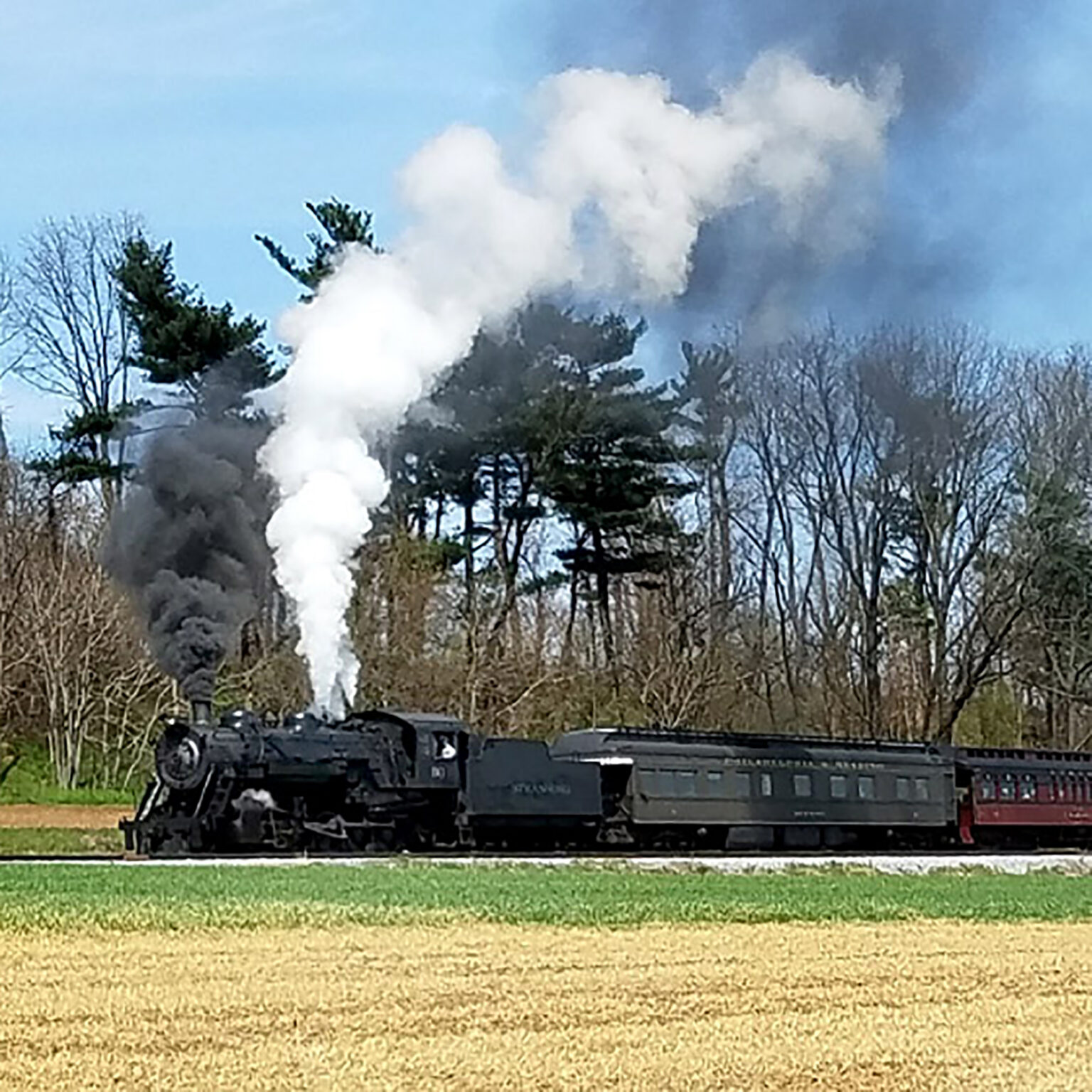 Steam locomotive emitting white smoke, parked on a track beside a field with bare trees and a blue sky behind it.