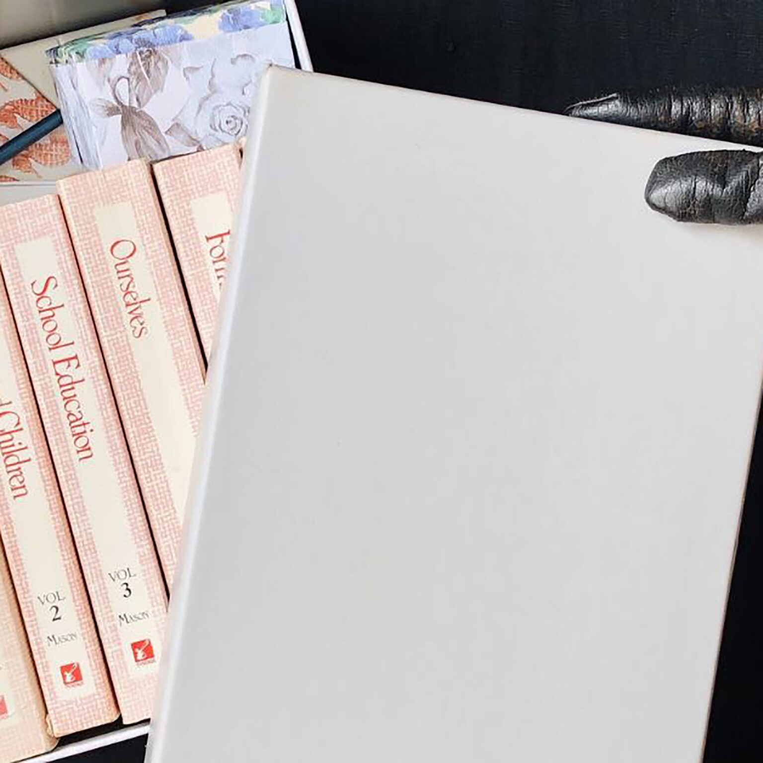 Close-up of pink volume spines labeled Vol. 2 and Vol. 3 with red logo stamps, arranged along a white surface.