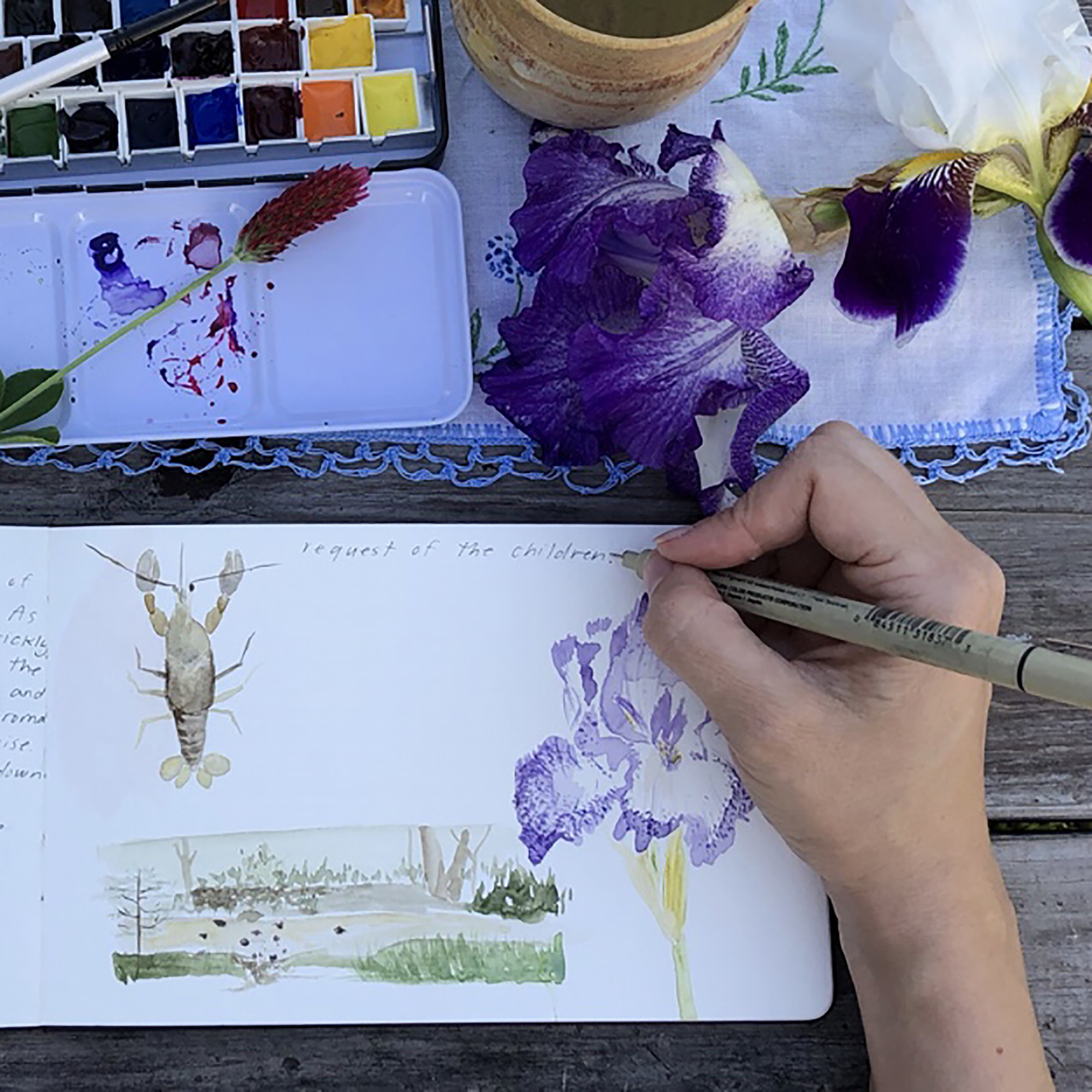 Nature Notebooks in the 21st Century