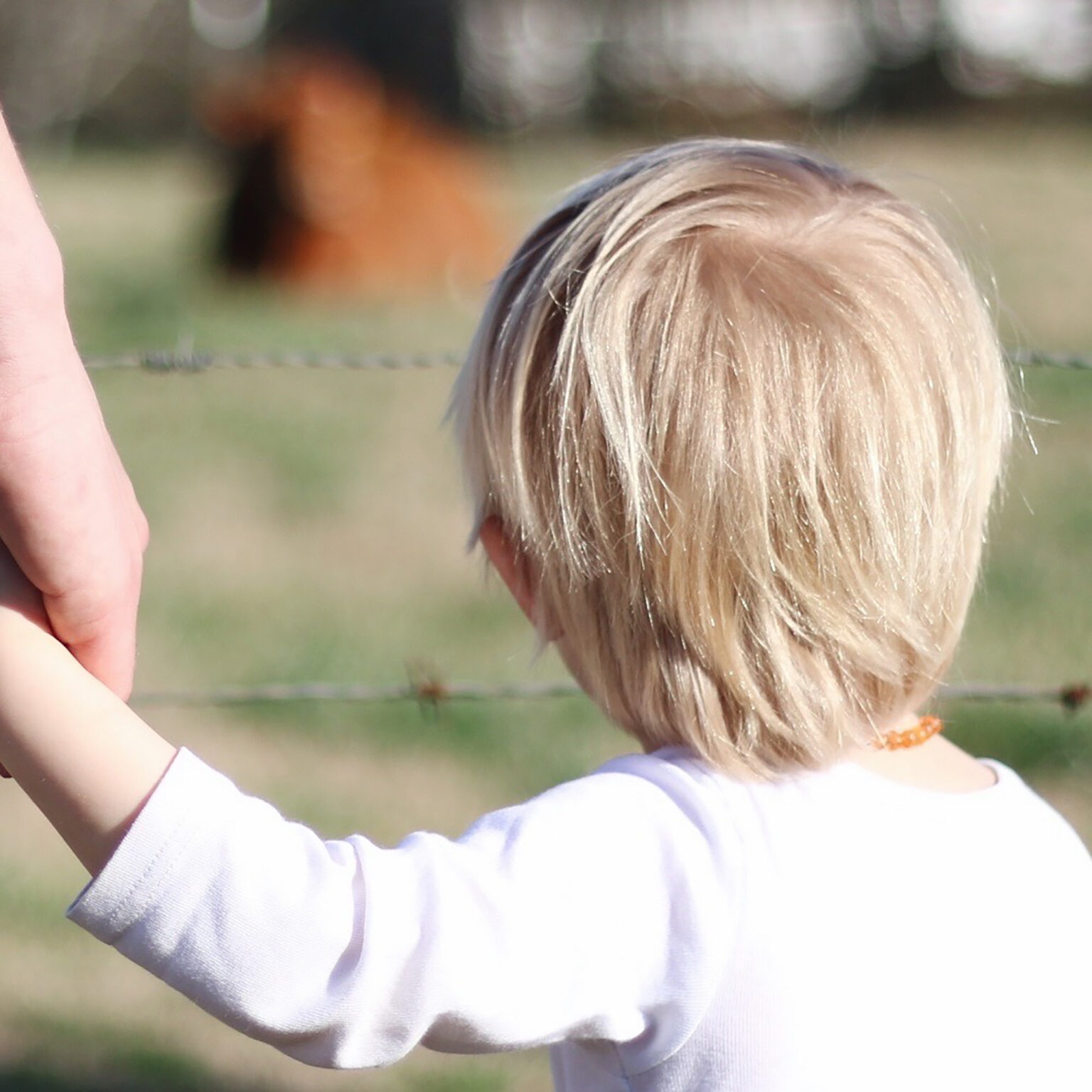 Back of a young child with blond hair, wearing a white shirt and orange beaded necklace, outdoors.