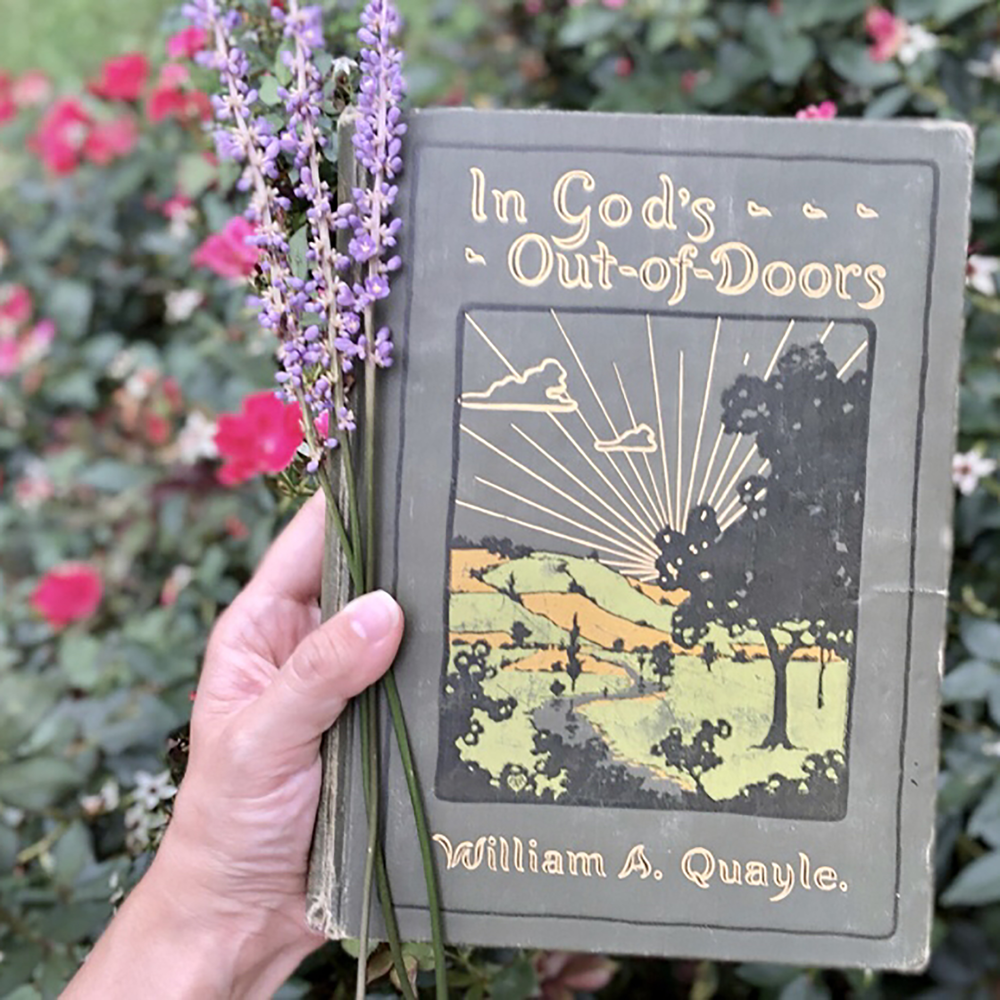 Into God’s Out-of-doors