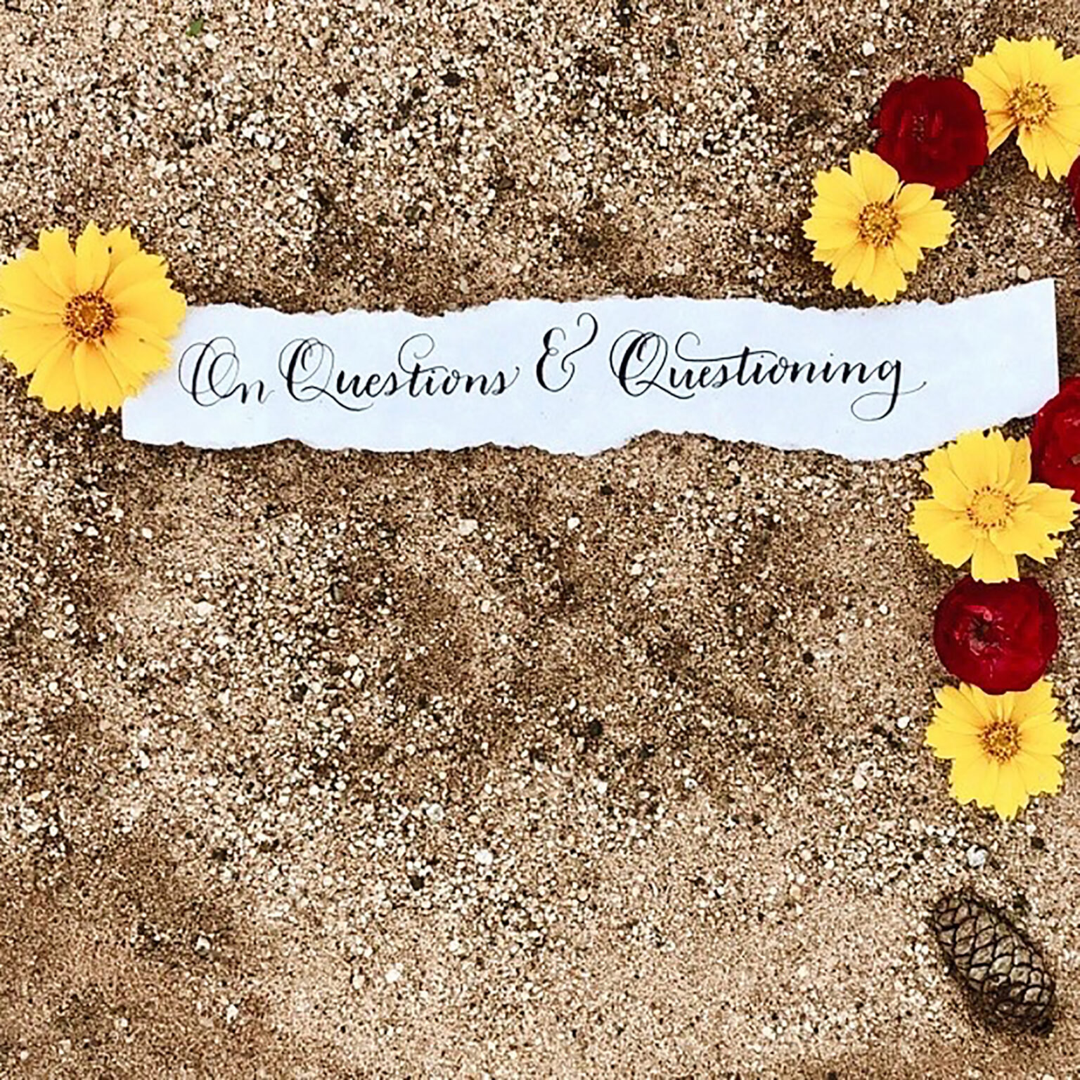 Decorative gravel background with bright yellow and red flowers along the edges and a torn white paper with cursive text reading 'Questions & Questioning'.