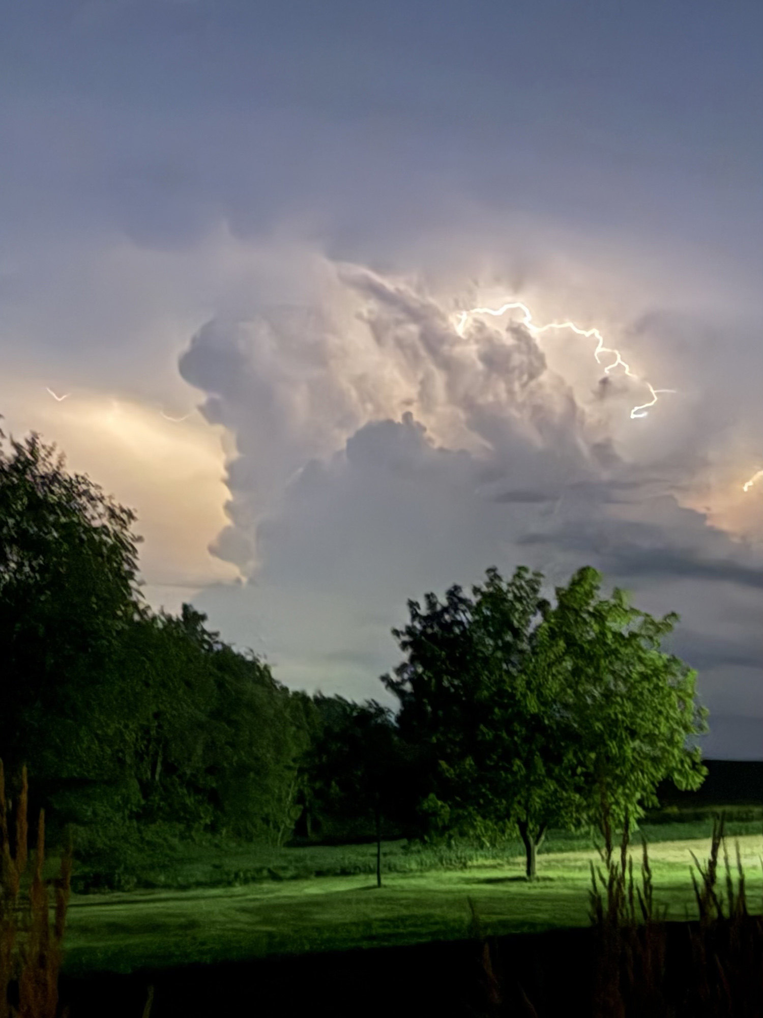 Dramatic thunderstorm clouds over a park, with bright lightning within the clouds and silhouetted trees below.