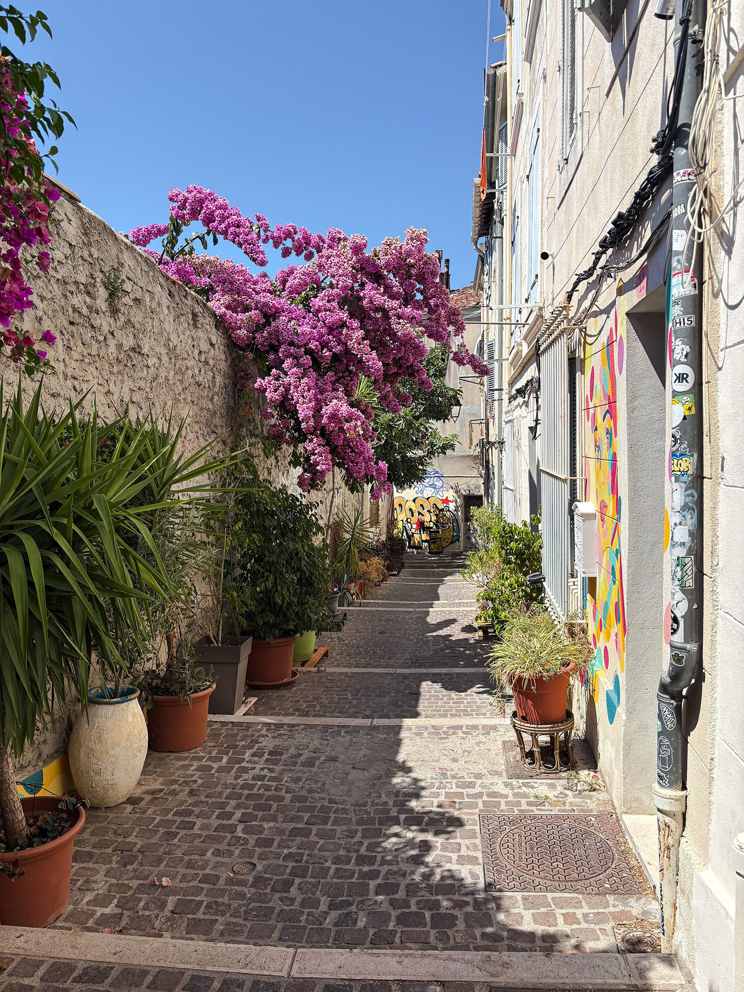 Narrow sunlit cobblestone alley lined with potted plants and vibrant pink bougainvillea climbing a wall and colorful mural on the right wall.