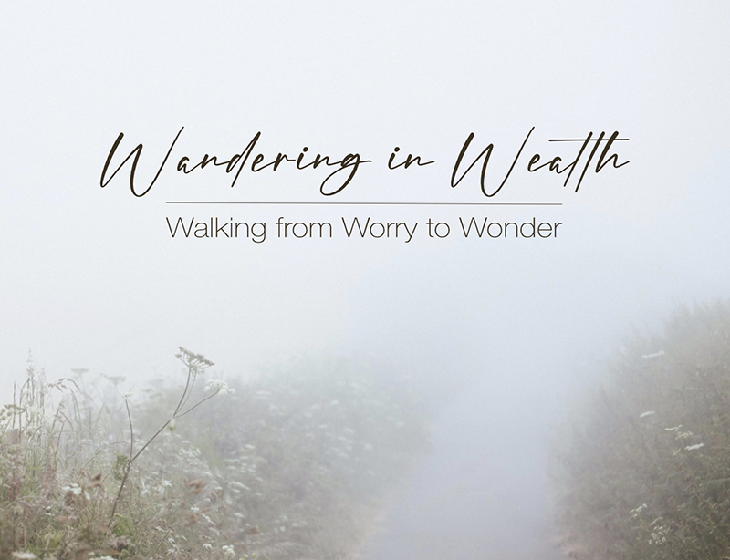 Mist-filled pathway with wildflowers on the sides and the title 'Wandering in Wealth' with subtitle 'Walking from Worry to Wonder'.