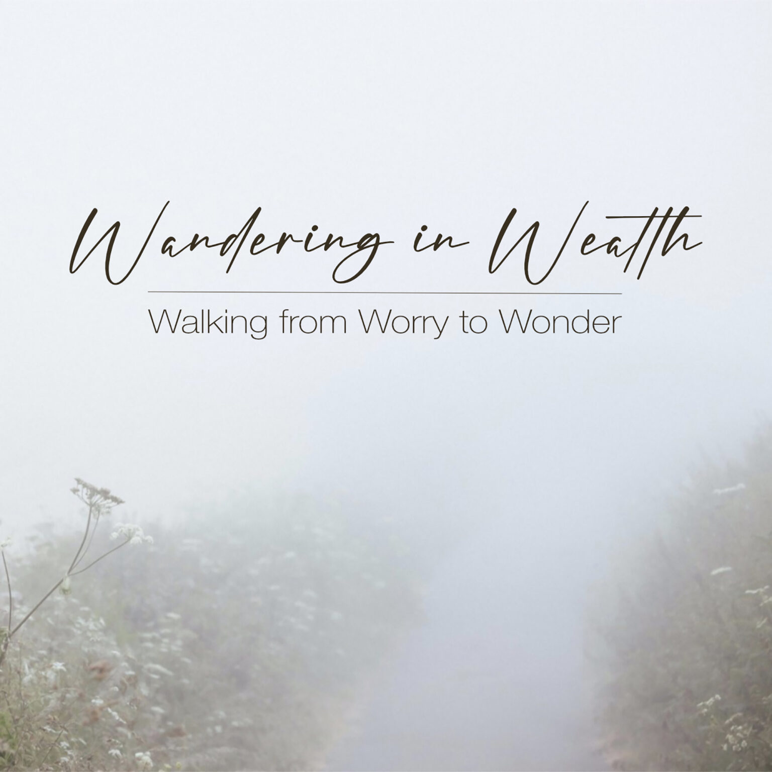 Soft misty field with pale blue sky and delicate wildflowers in the foreground; large cursive text reads 'Wandering in Health' with a subtitle below reading 'Walking from Worry to Wonder'