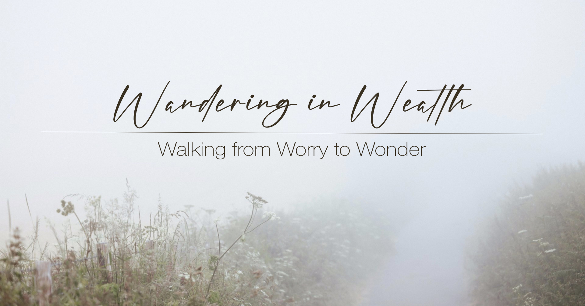 Elegant banner reading 'Wandering in Wealth' with the subtitle 'Walking from Worry to Wonder' over a misty meadow scene.
