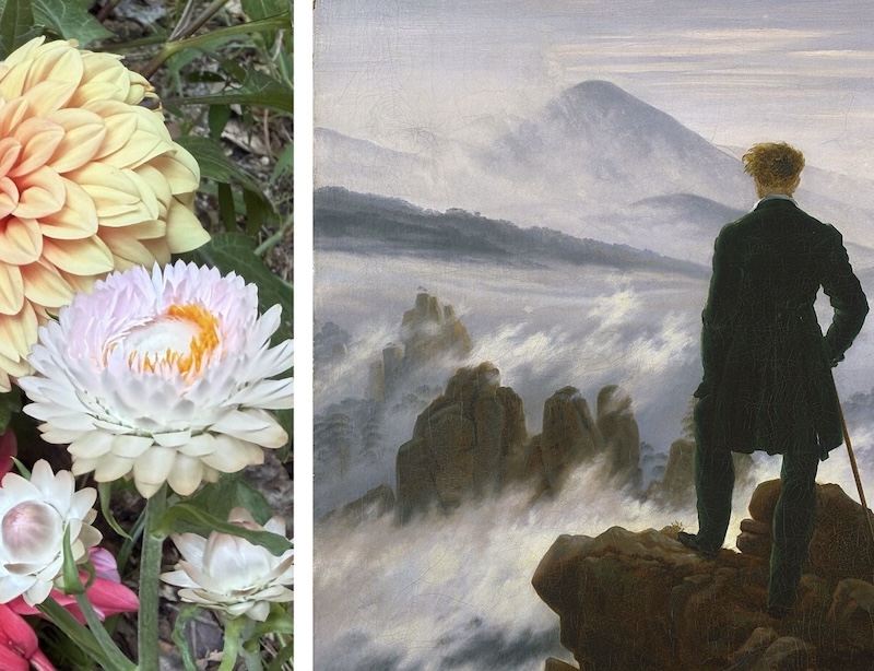 Left: close-up of colorful dahlias; Right: man in a dark coat on rocks, facing a stormy seascape painting.